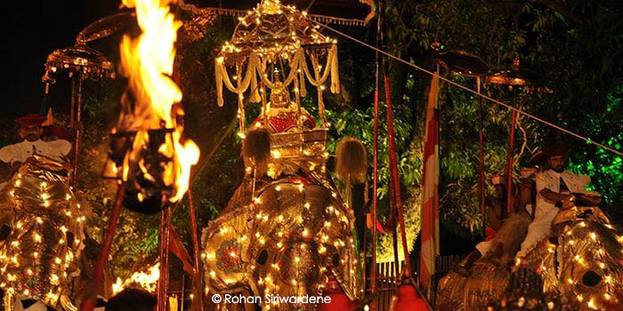 20-Kandy-Perehera-1-1-1