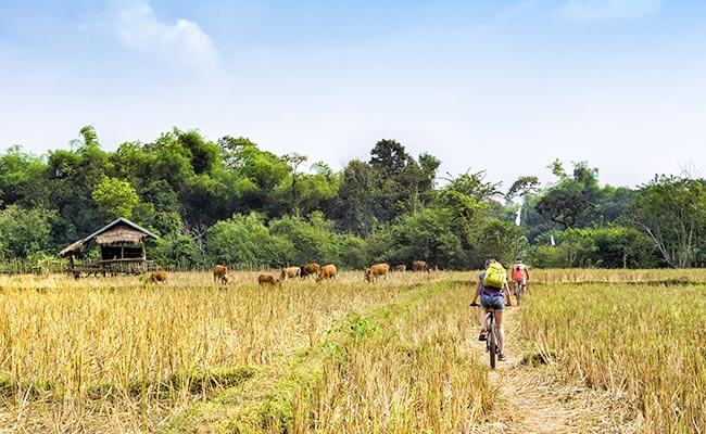 Hiriwaduna Village Visit