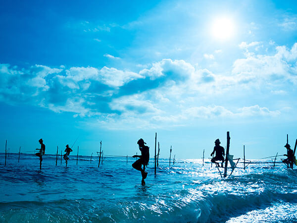 shutterstock_172176461