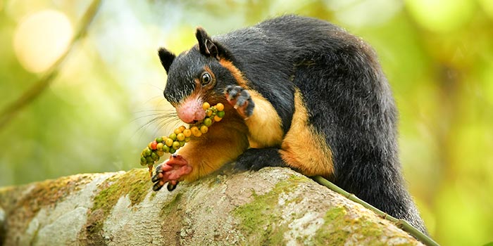 shutterstock_381103177